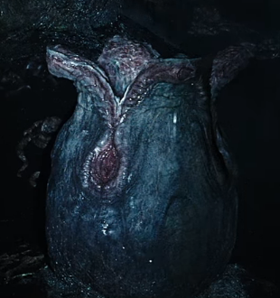 Ovomorph_Planet_4.png