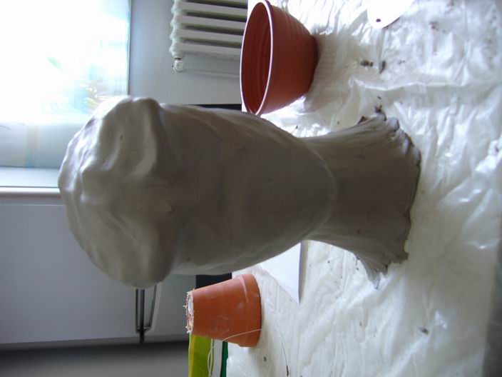P1000887.JPG