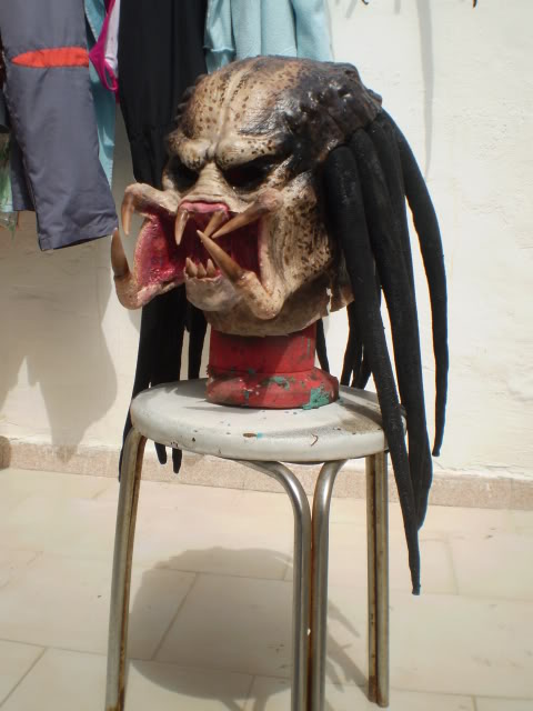 P10100153.jpg