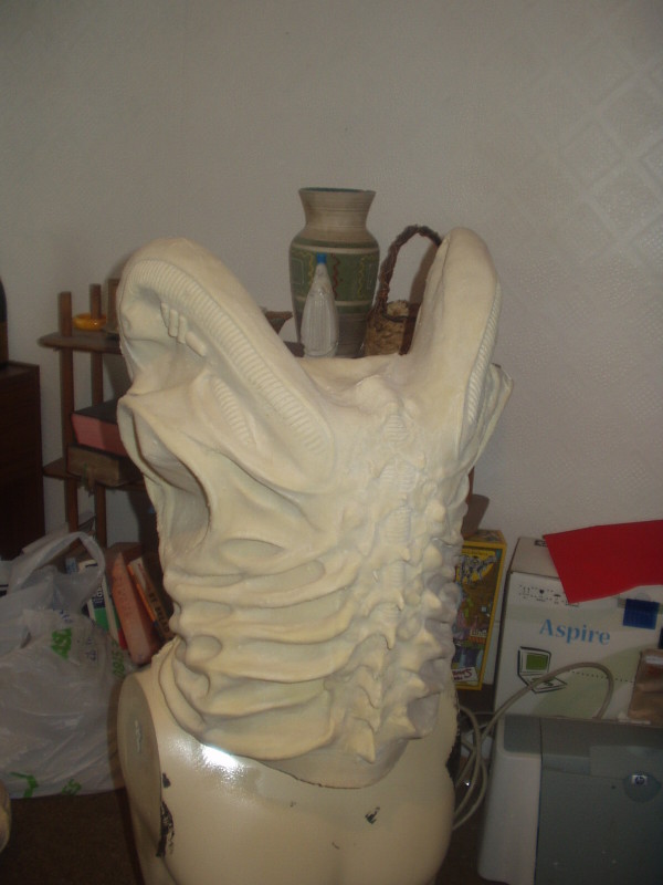 P1010153.jpg