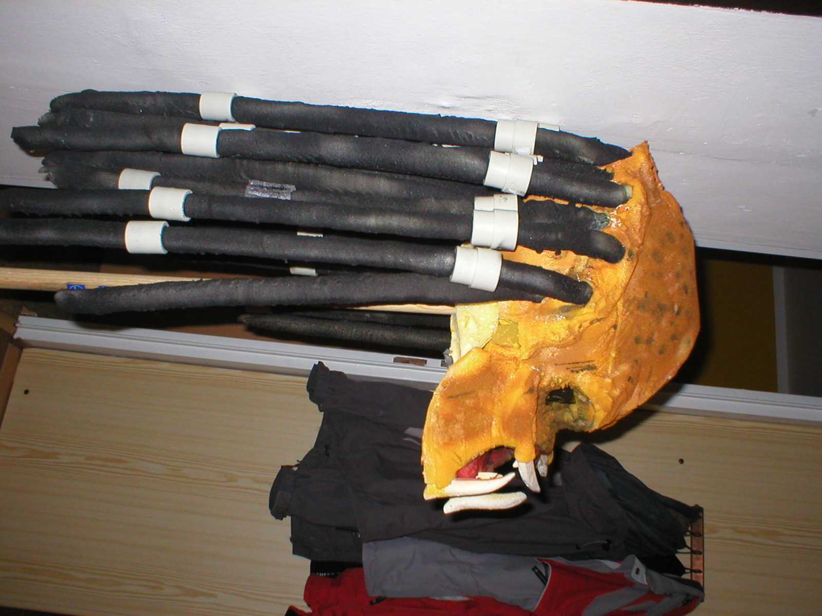 P1010167.JPG