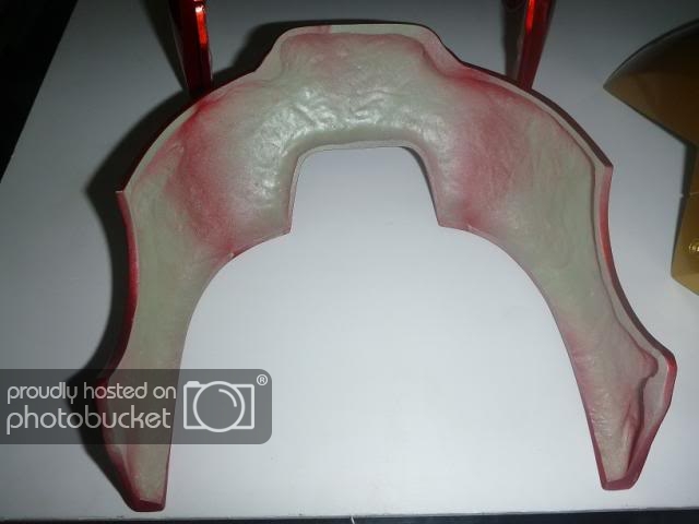 P1020282_zps09dfd374.jpg