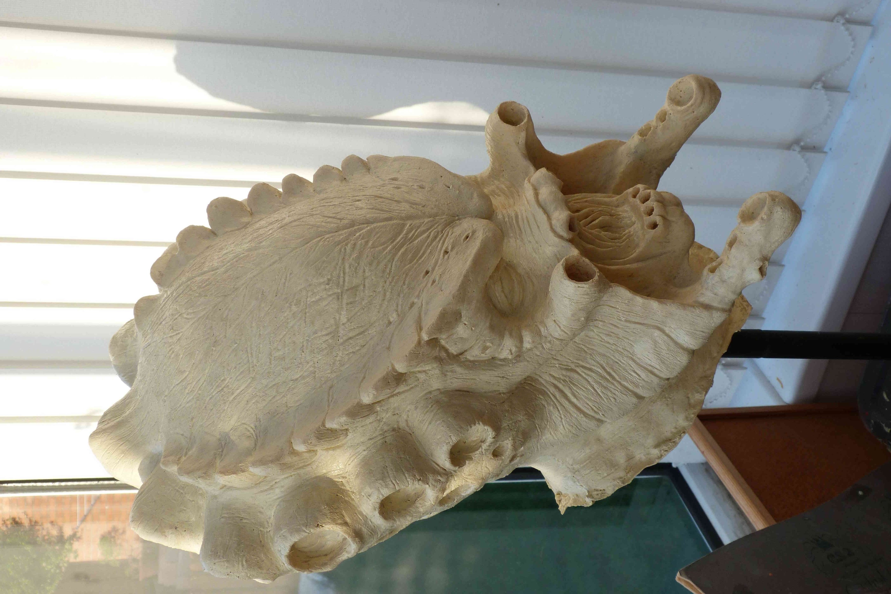 P1050211.jpg