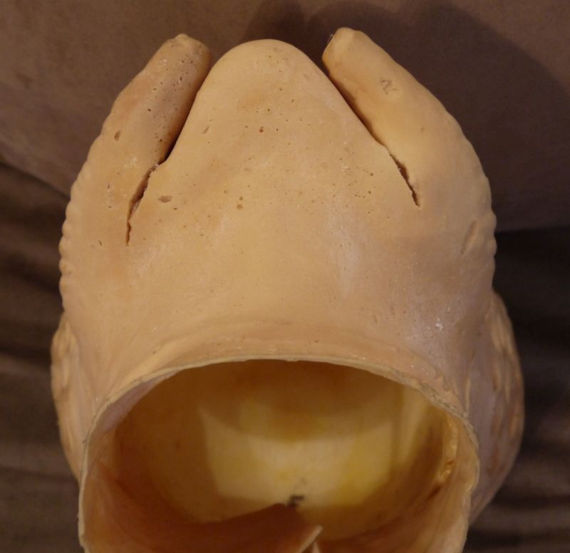P1080746a.jpg