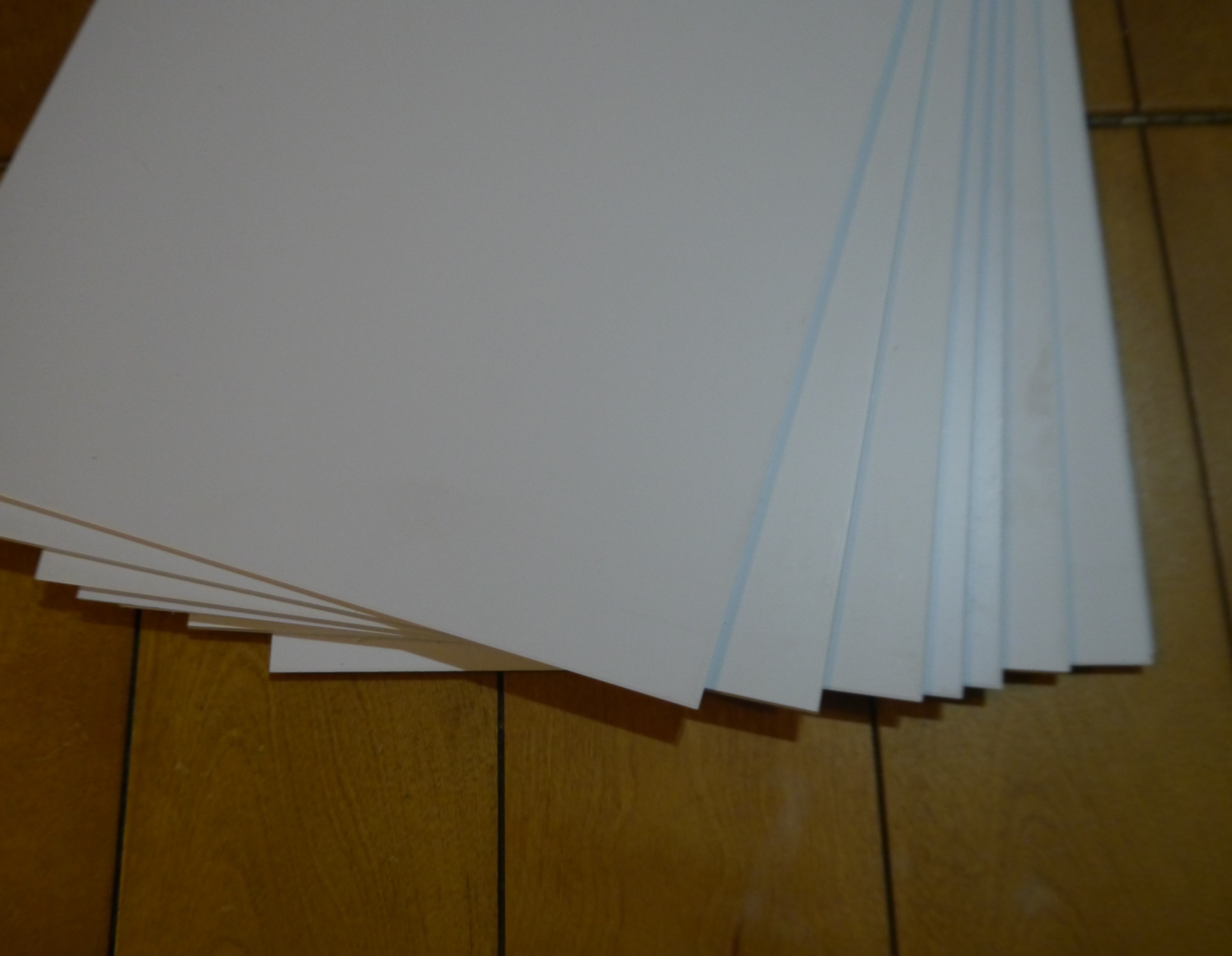 P1090119 (2).JPG
