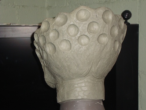p19.jpg