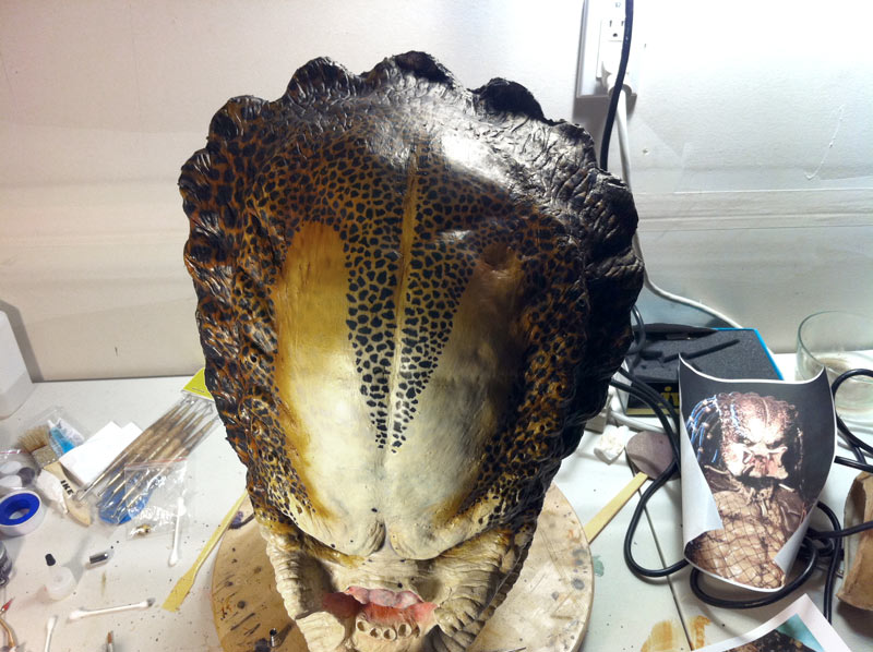 P1_head_2.JPG