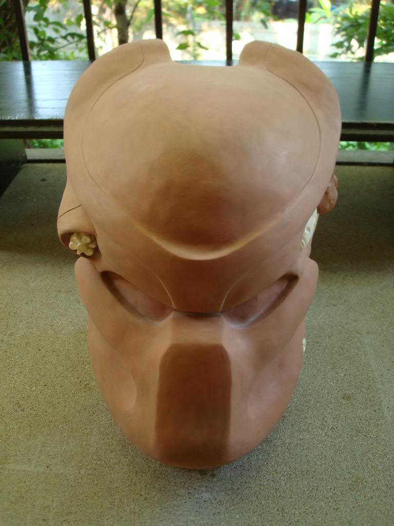P1Biosculpt9-19-13018_zpsa899ab55.jpg