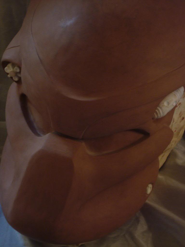 P1sculptcomplete017_zpsc02de629.jpg