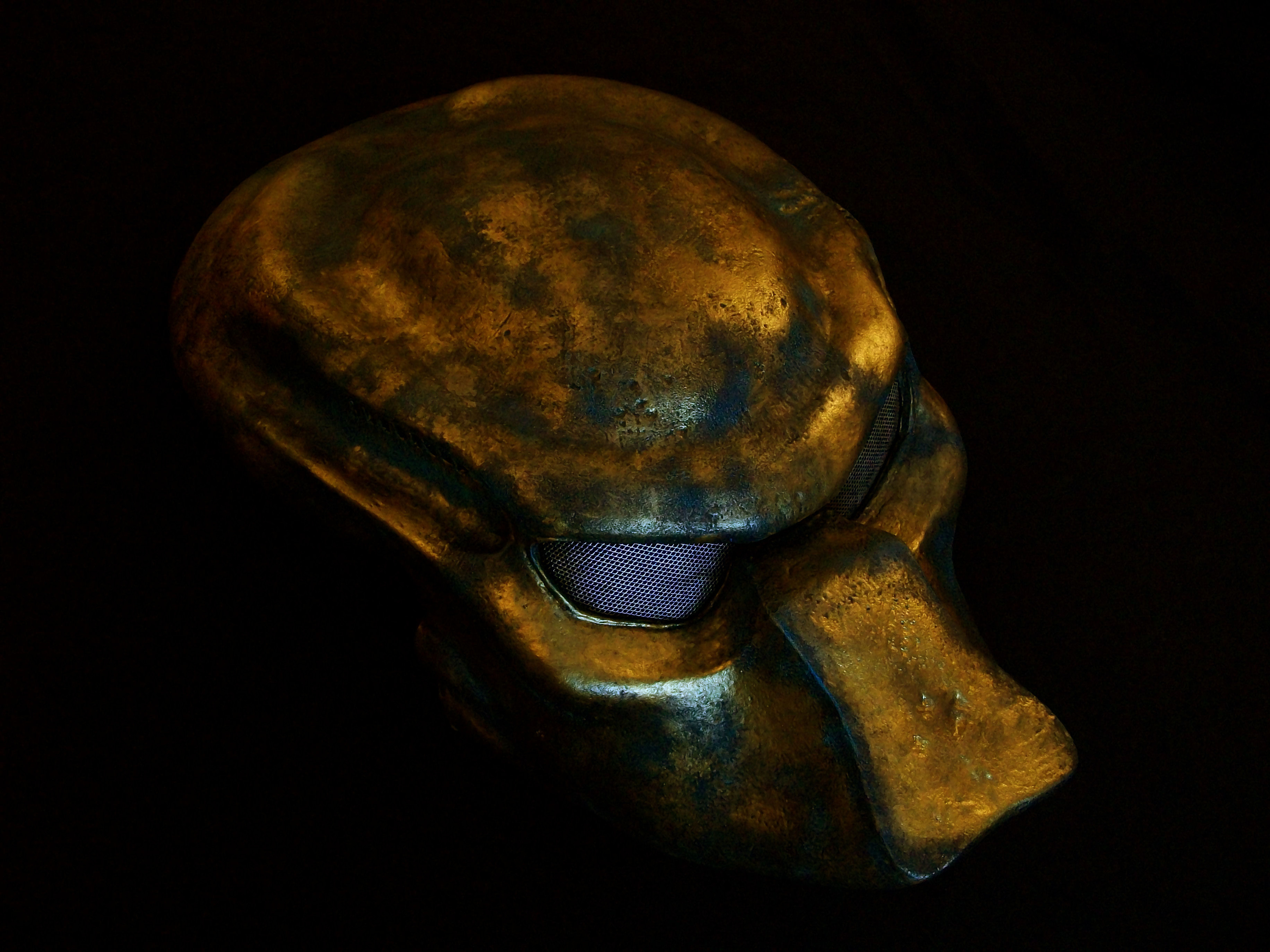 p2 2.jpg