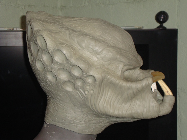 p20.jpg