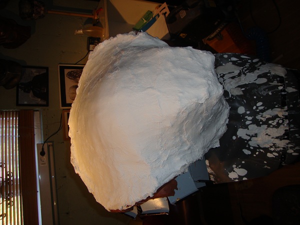p23.jpg