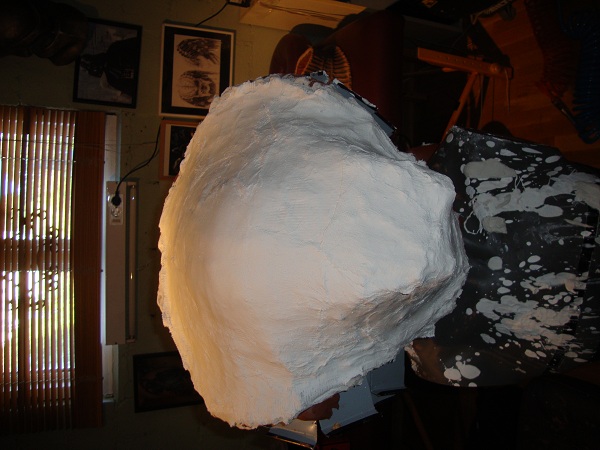 p24.jpg
