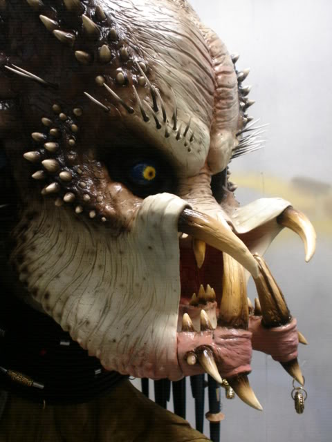 p2elder1fin003.jpg