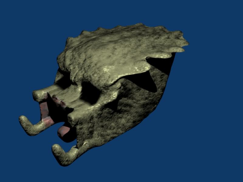p3.jpg