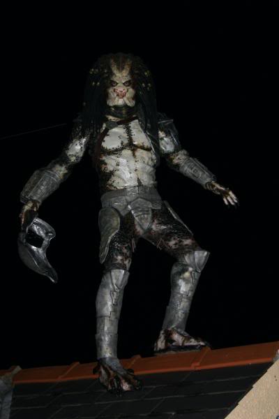 p4.jpg