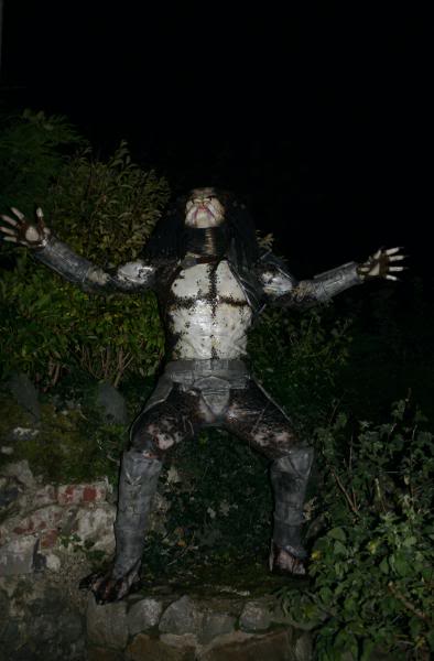 p7.jpg