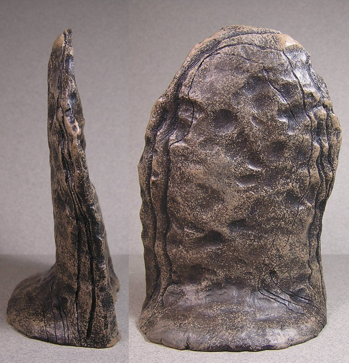 paezjCu.jpg