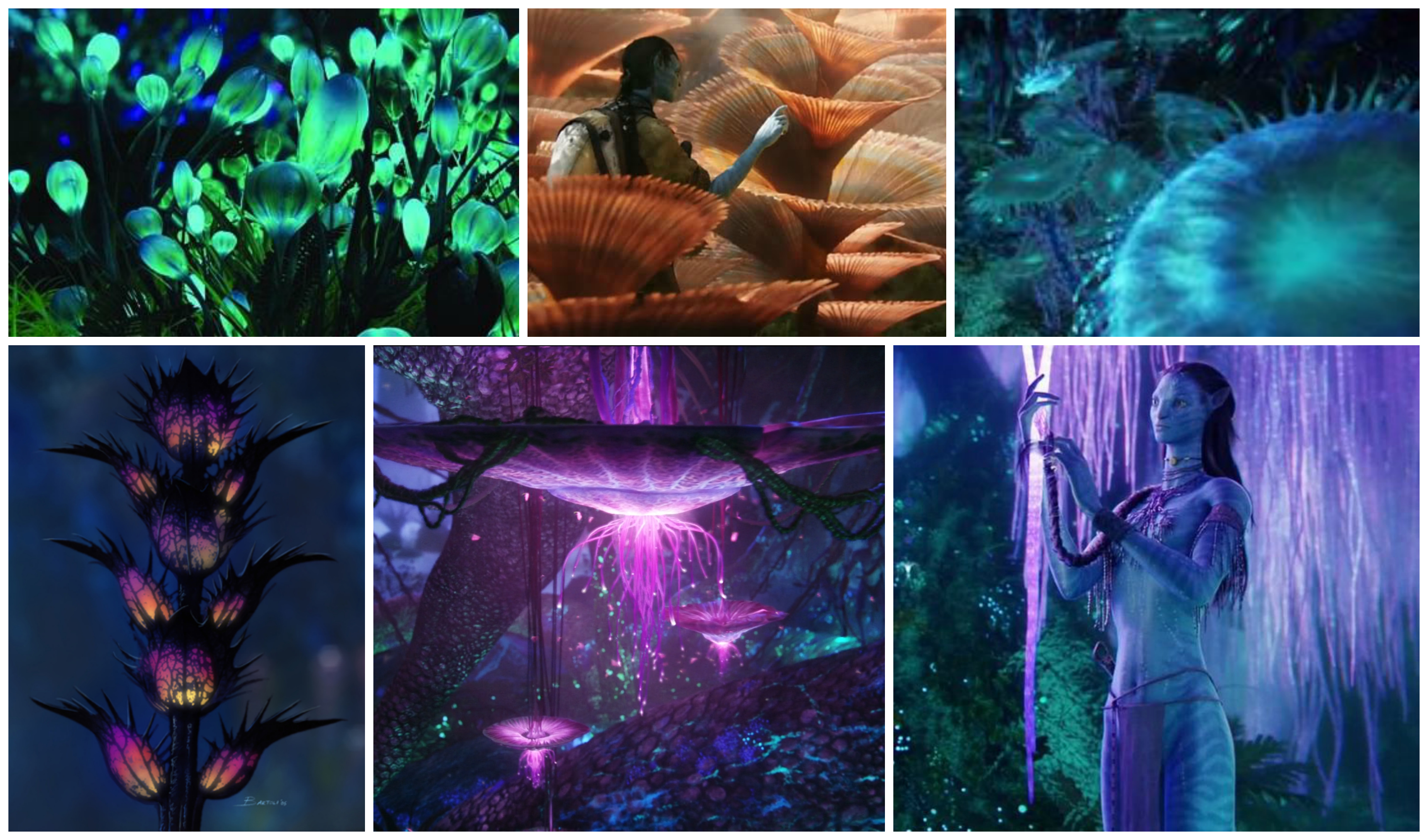Glowing Plants from Avatar - Halp! | RPF Costume and Prop Maker Community