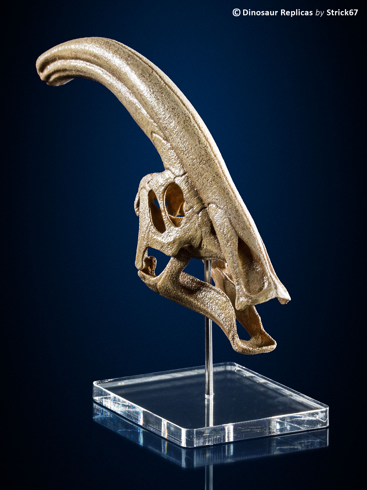dinosaur bone replicas