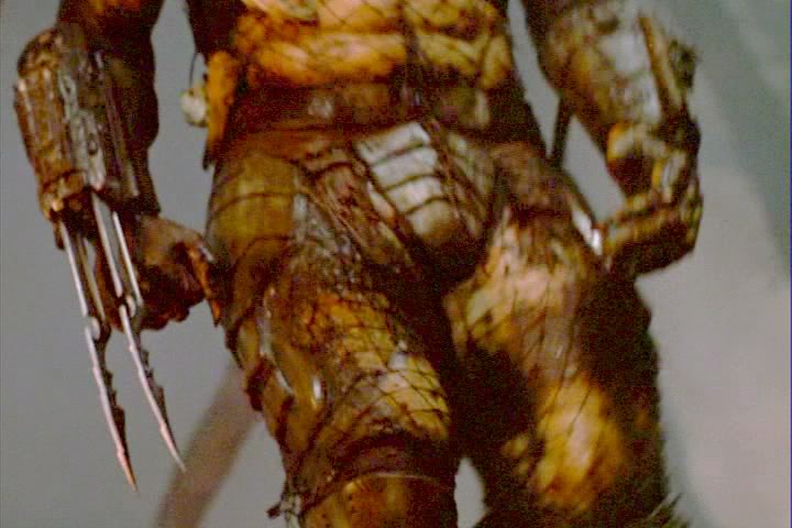 PDVD_123_1.jpg