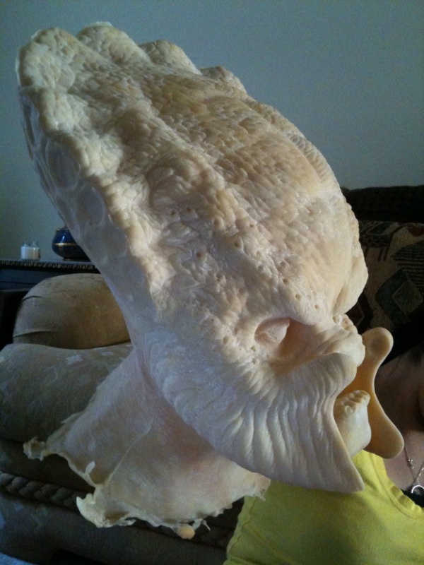 photo_202_1_.jpg