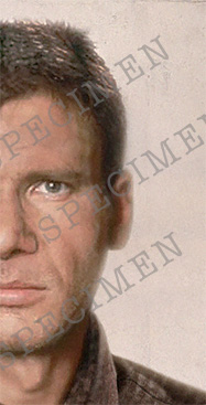 photo_Deckard_02.jpg