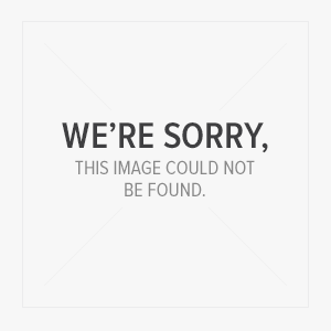 pic%20of%20pred.jpg.gif