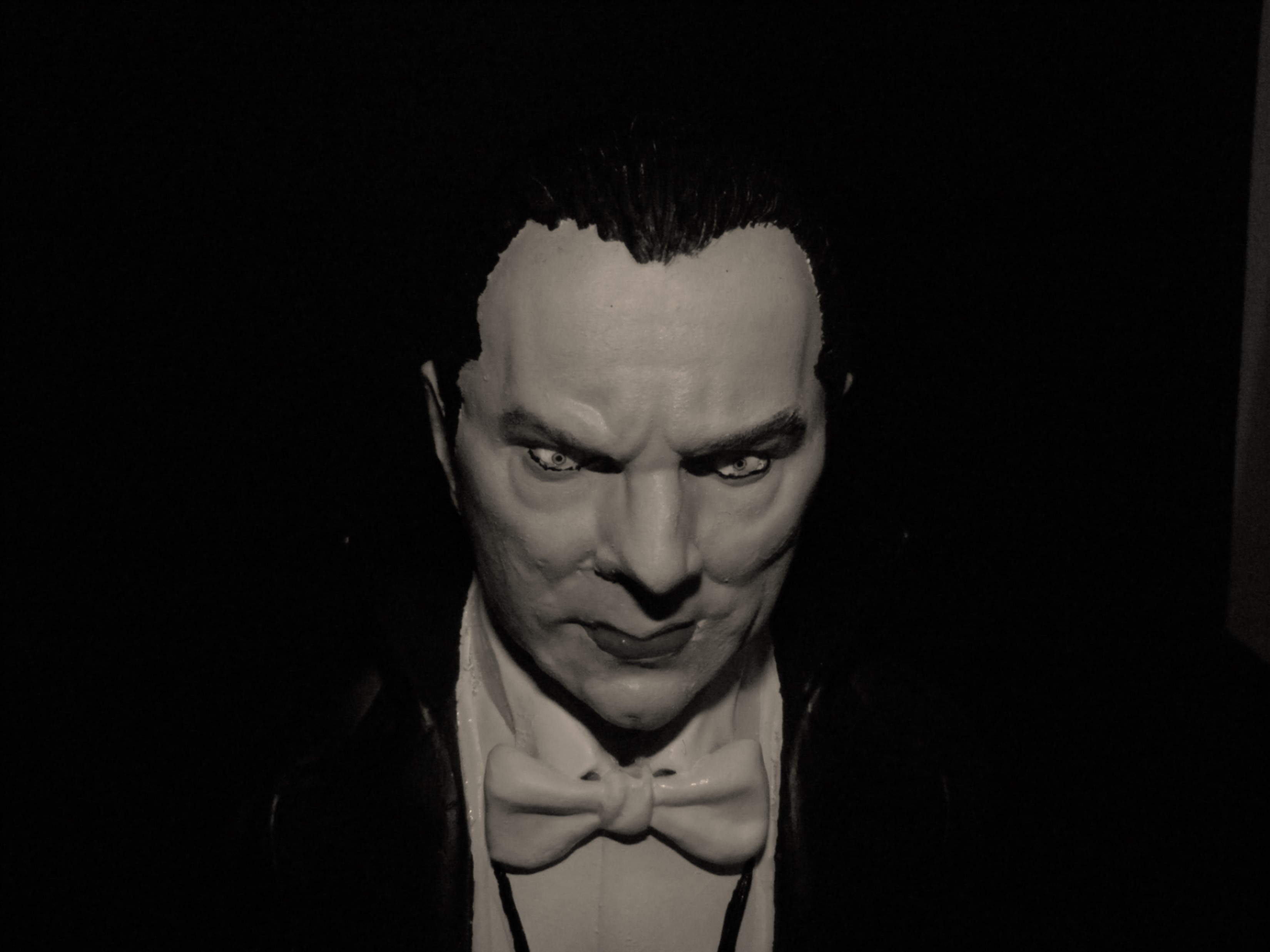 PIC-8.jpg