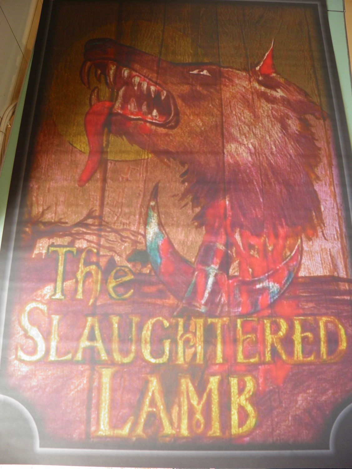 pic1.jpg