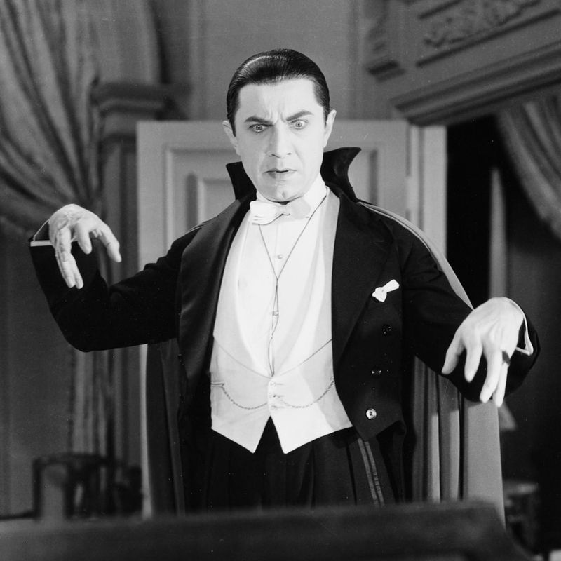 Dracula (1931) cape - Finished | RPF Costume and Prop Maker Community