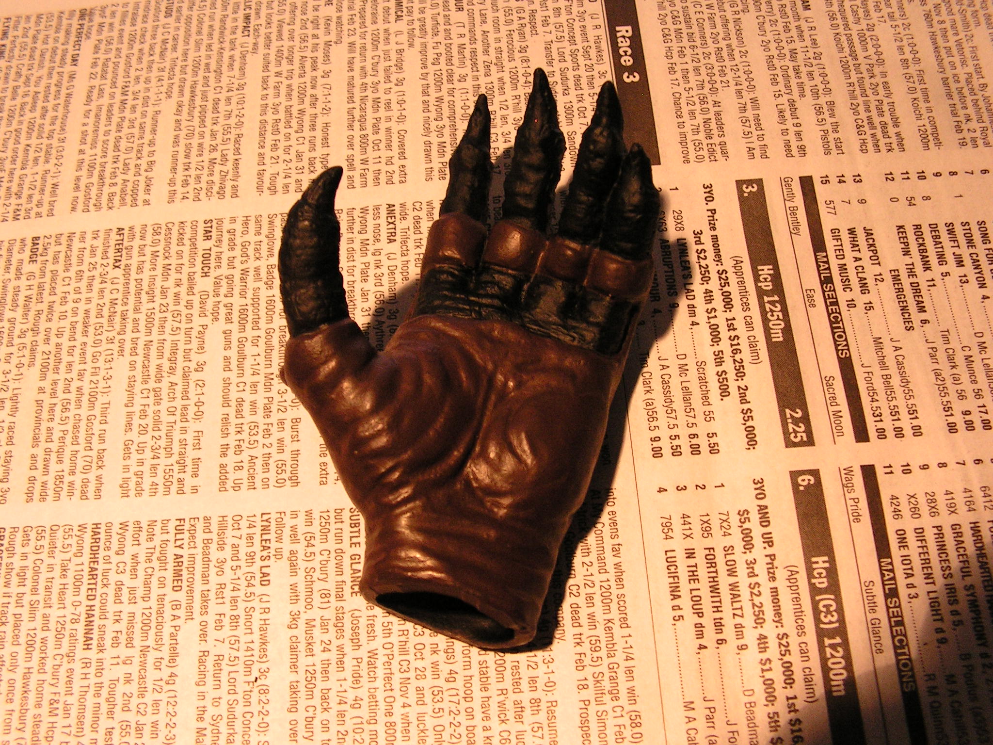 PICT0241.JPG