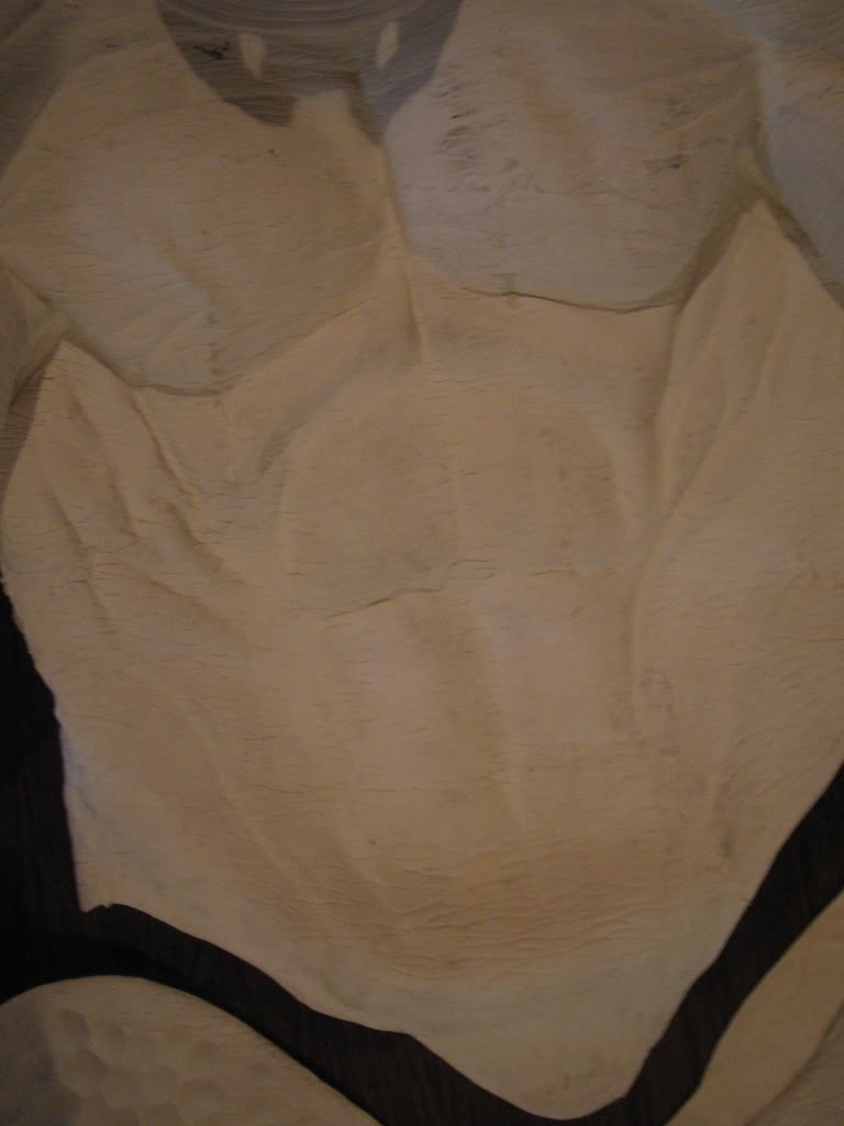 Picture027.jpg