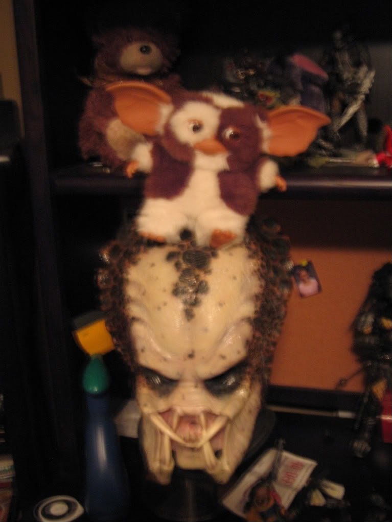 Picture050.jpg