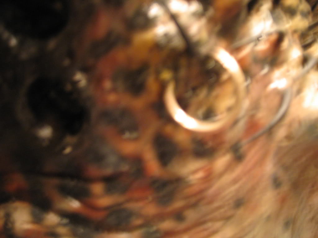 Picture075.jpg