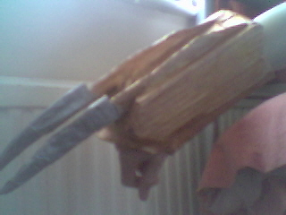 Picture_8.jpg
