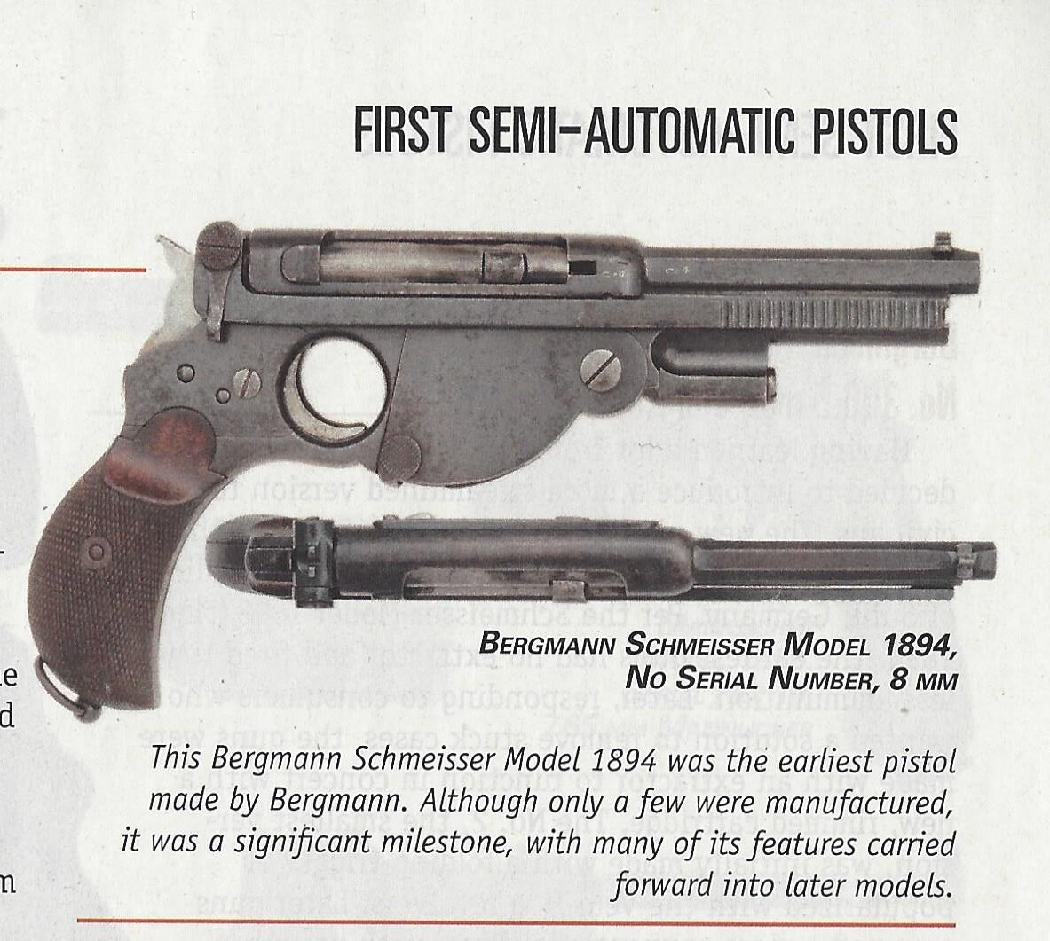 pistol.jpg