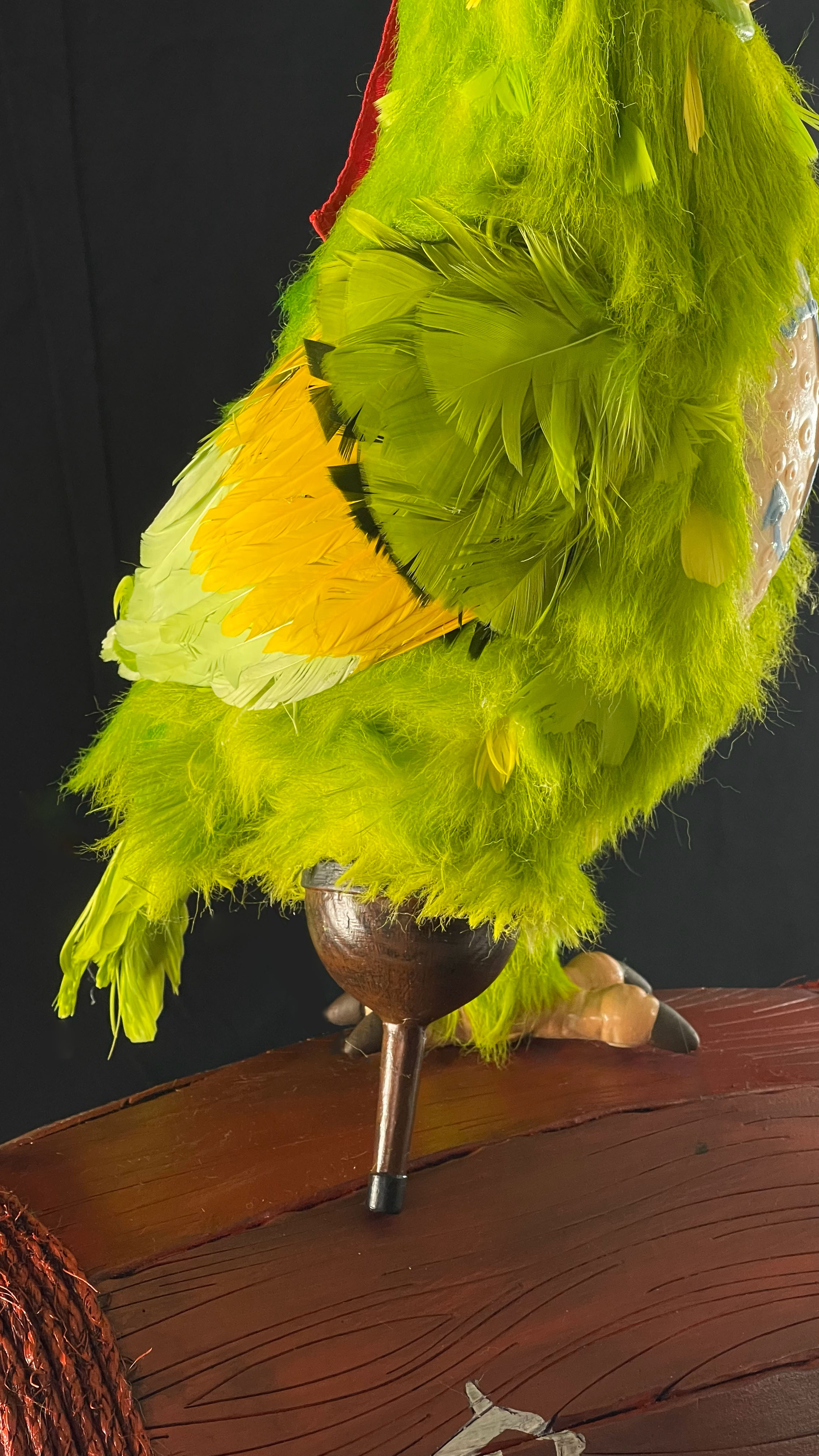 Plaza_Parrot_002.jpg