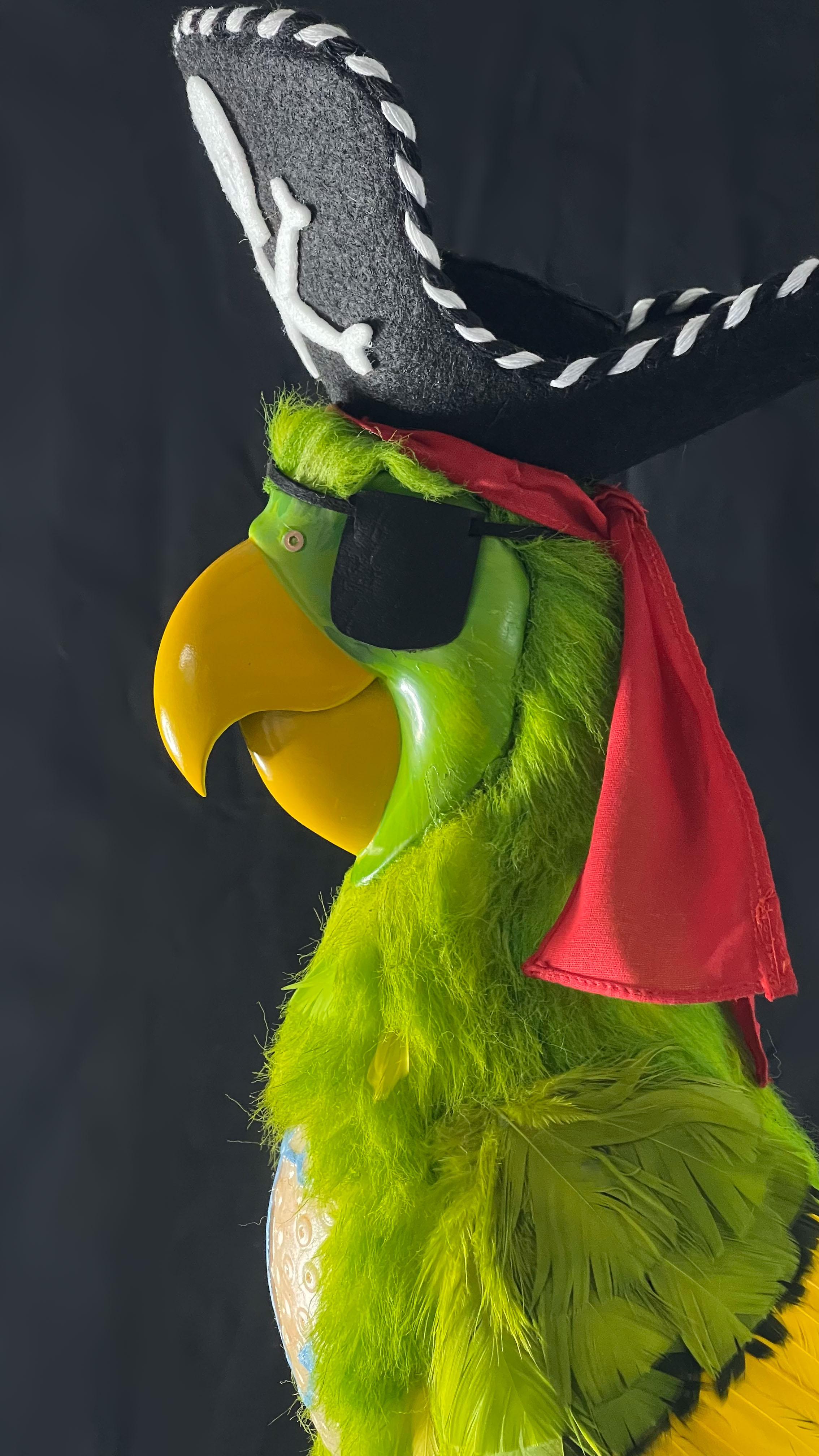 Plaza_Parrot_005.jpg