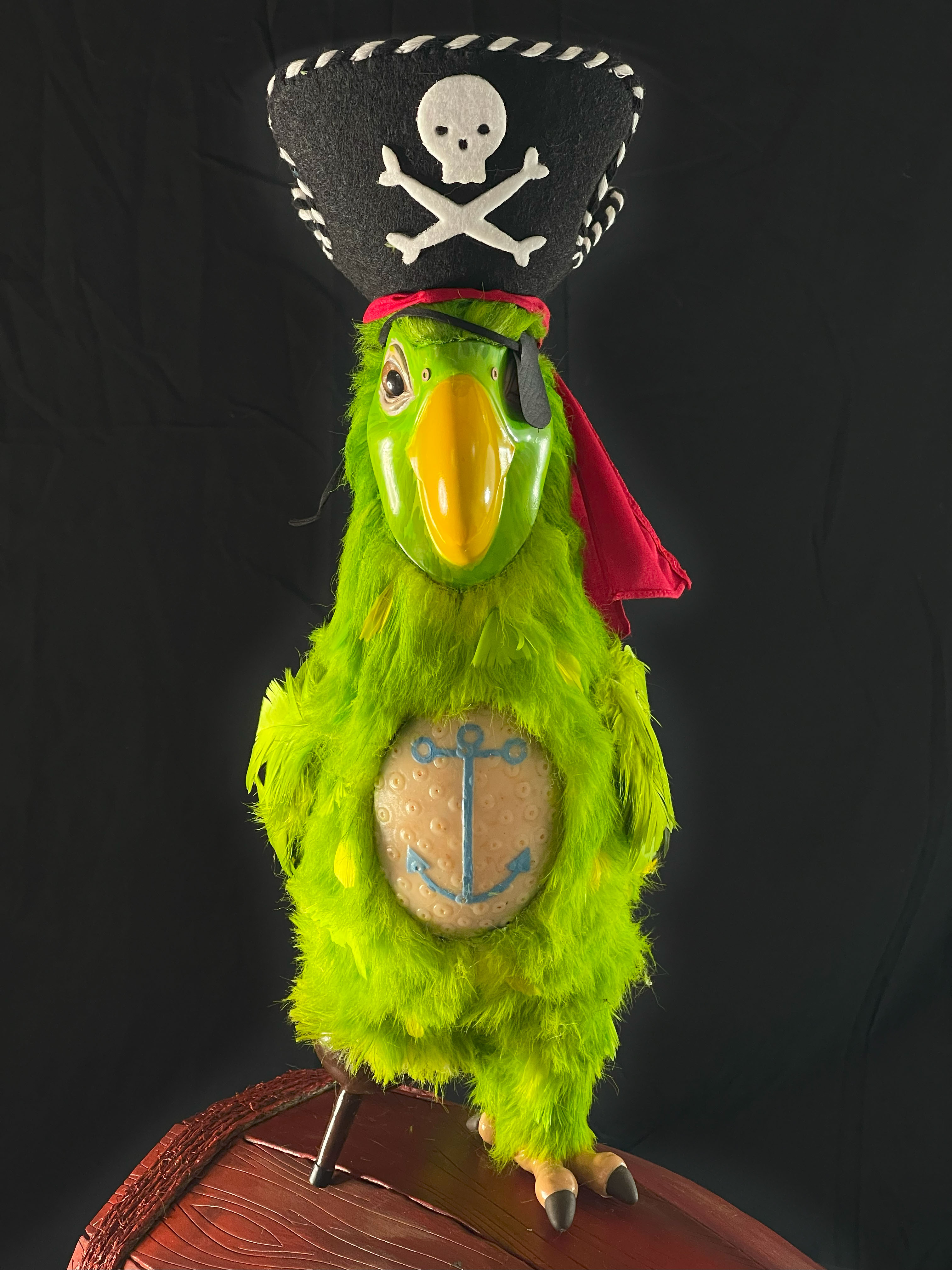 Plaza_Parrot_007.jpg
