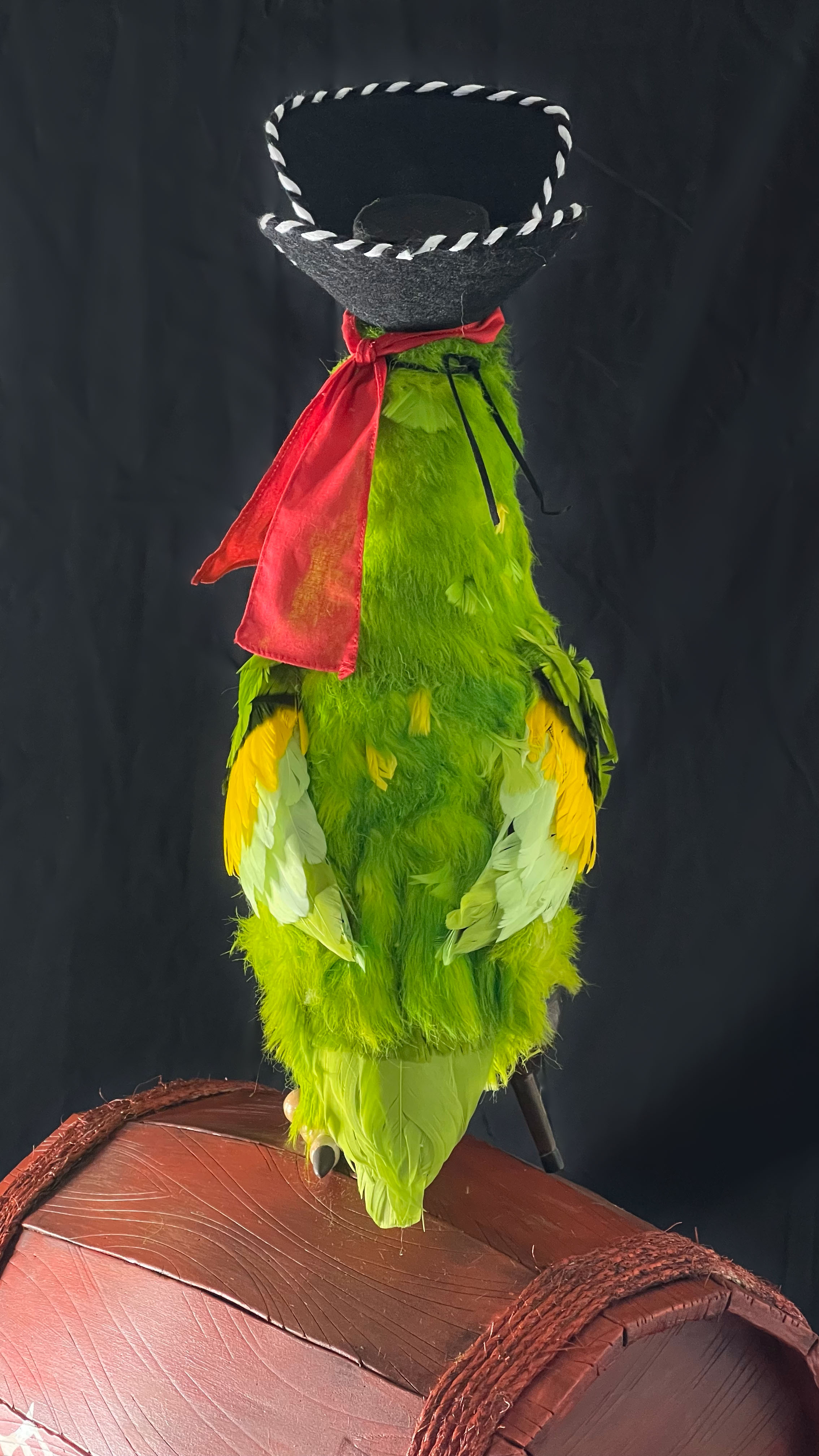 Plaza_Parrot_011.jpg