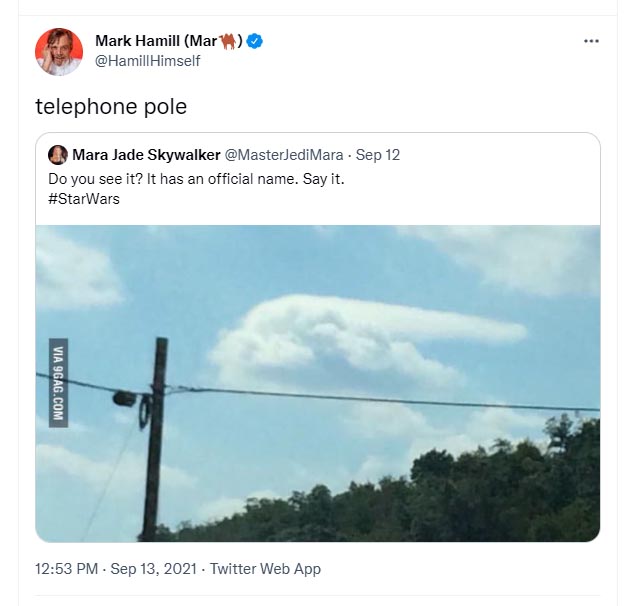 pole.jpg