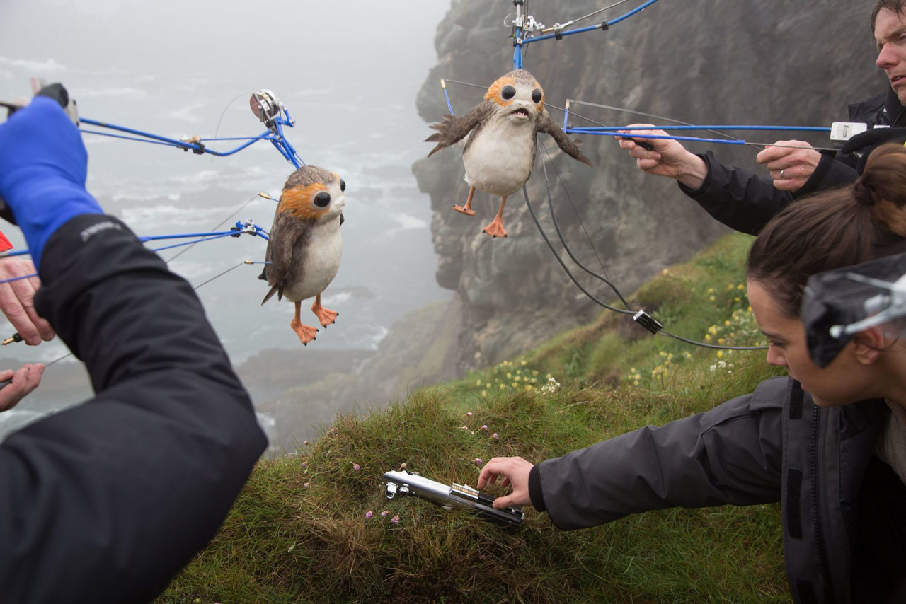 porg1.jpg
