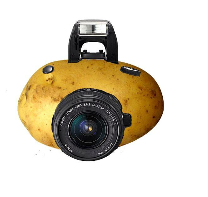 potato cam.jpg