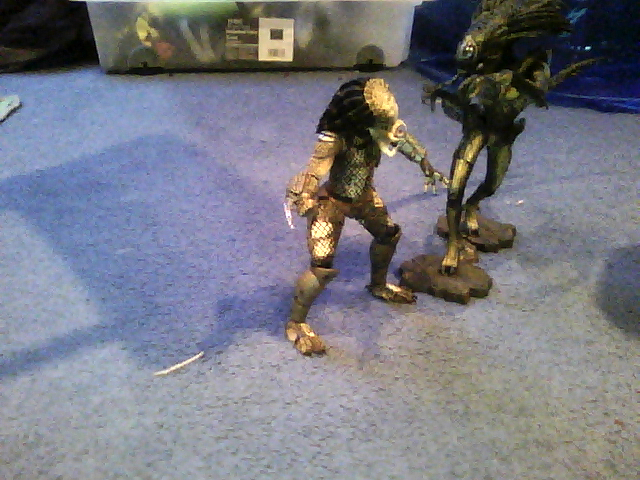 pred.jpg