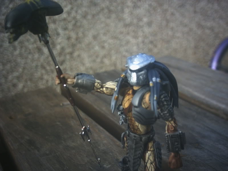 pred008.jpg