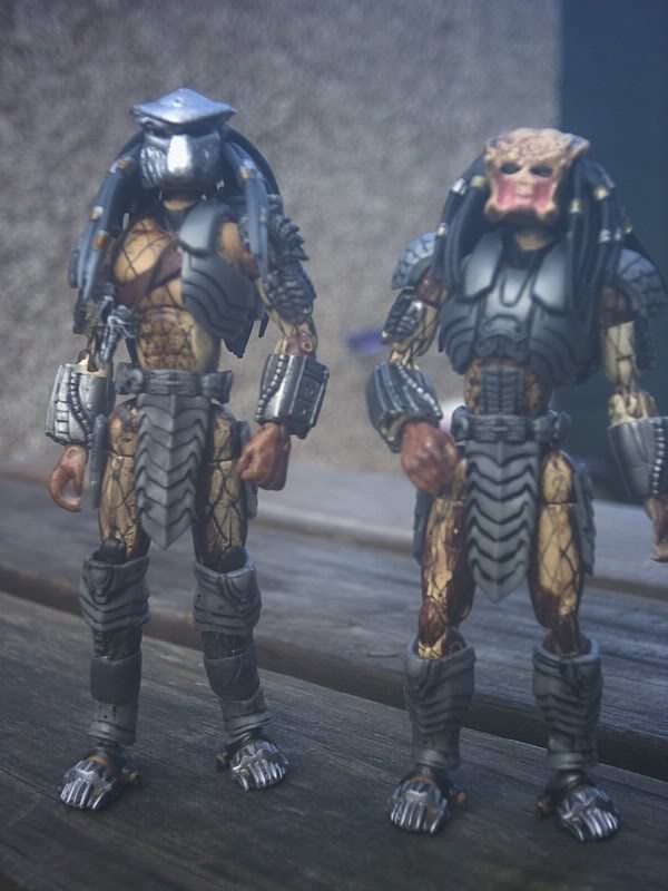 pred011.jpg