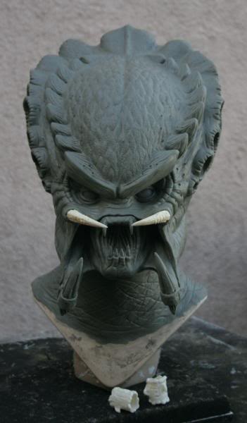 pred2-41.jpg