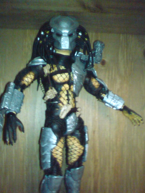 pred_1_photo.JPG