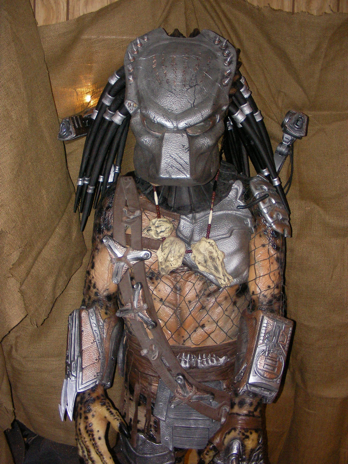 Pred_Wolf__2_.JPG